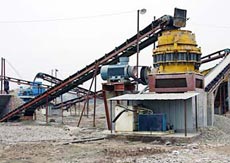 Passenger Elevator Special Bearings