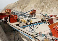 Passenger Elevator Special Bearings