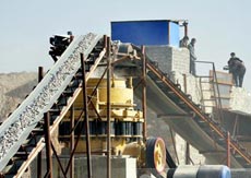 Passenger Elevator Special Bearings
