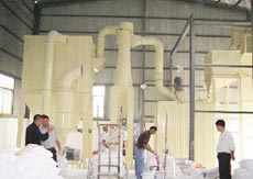 Passenger Elevator Special Bearings